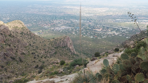 Tourist Attraction «Linda Vista Trail», reviews and photos, 730 E Linda Vista Rd, Oro Valley, AZ 85737, USA