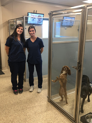 Veterinary Wellness Center of Green and The Cat Clinic image