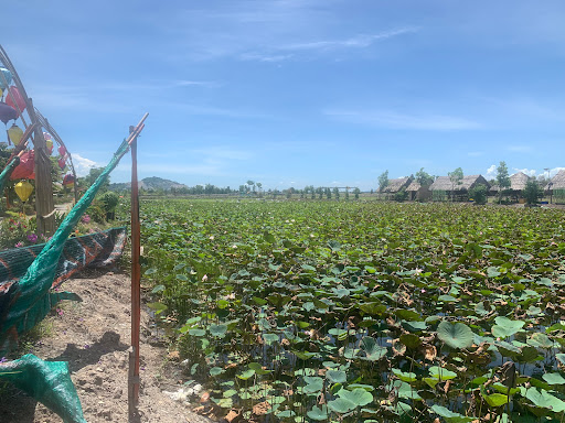 Top 20 cửa hàng speedo Huyện Hòn Đất Kiên Giang 2022