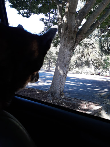 Pet Supply Store «Pet Club Elk Grove», reviews and photos, 8515 Bond Rd, Elk Grove, CA 95624, USA