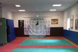 Judo Jujitsu Boisset image