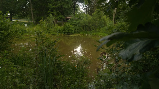 Park «Plum Creek Park», reviews and photos, Cherry St, Kent, OH 44240, USA