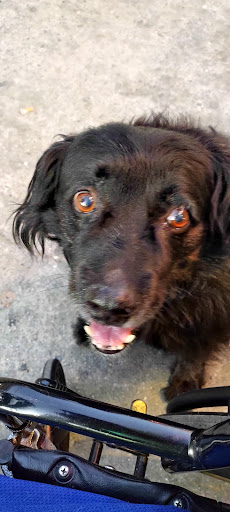 Explore face tattoos ideas, creative tattoo ideas in Bakersfield, available at Electric Wizard Tattoo Castle