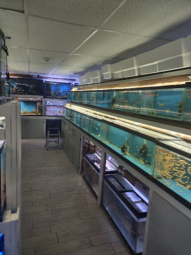 Pet Store «Fish Bowl Aquarium & Pet Mart», reviews and photos, 725 Providence St, West Warwick, RI 02893, USA