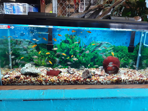 Aqua-Rama Pet Center