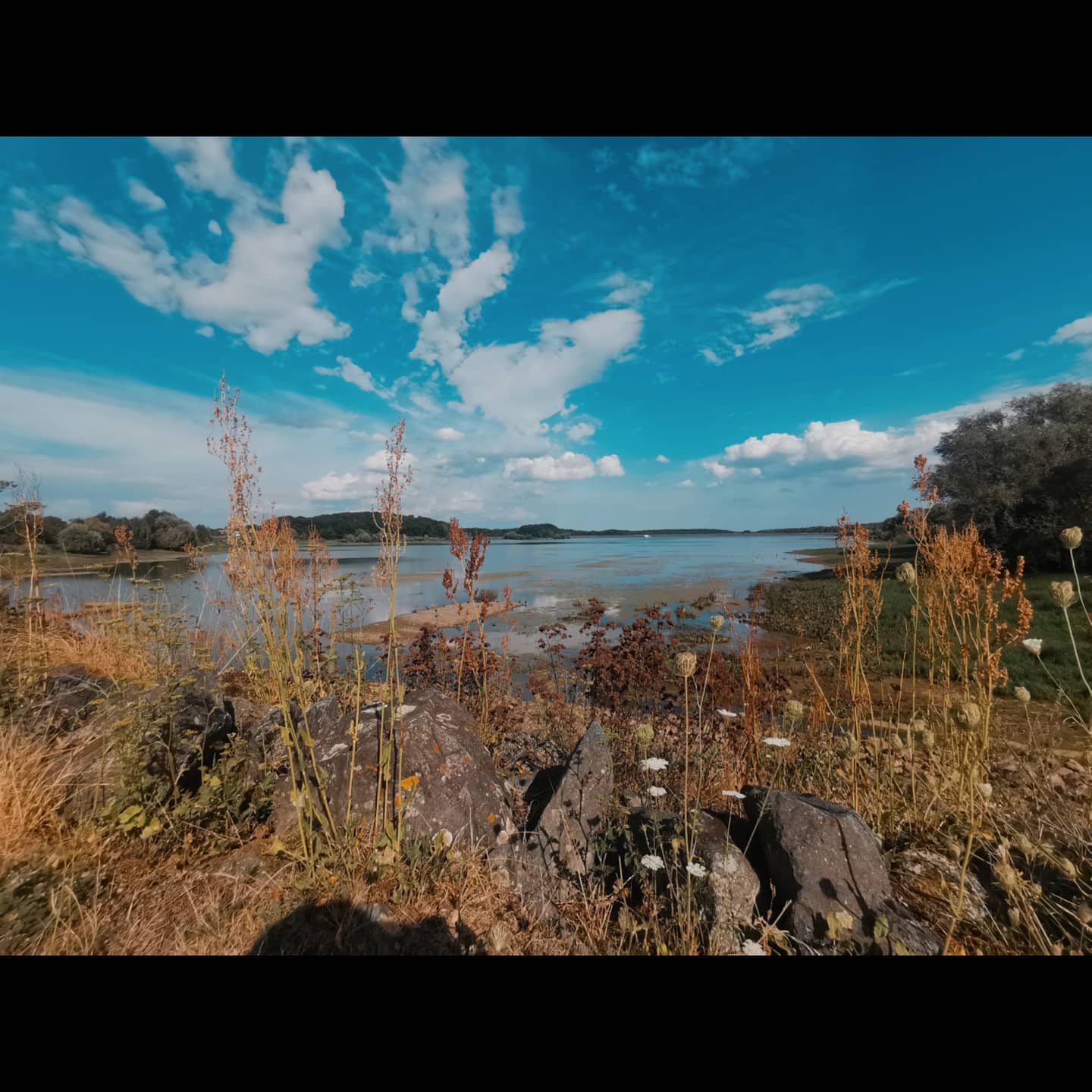 Photo n° 1 de l'avis de Vincianne.i fait le 05/09/2020 à 21:12