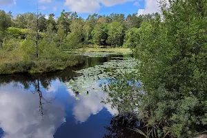 Lake Finnsmossen image