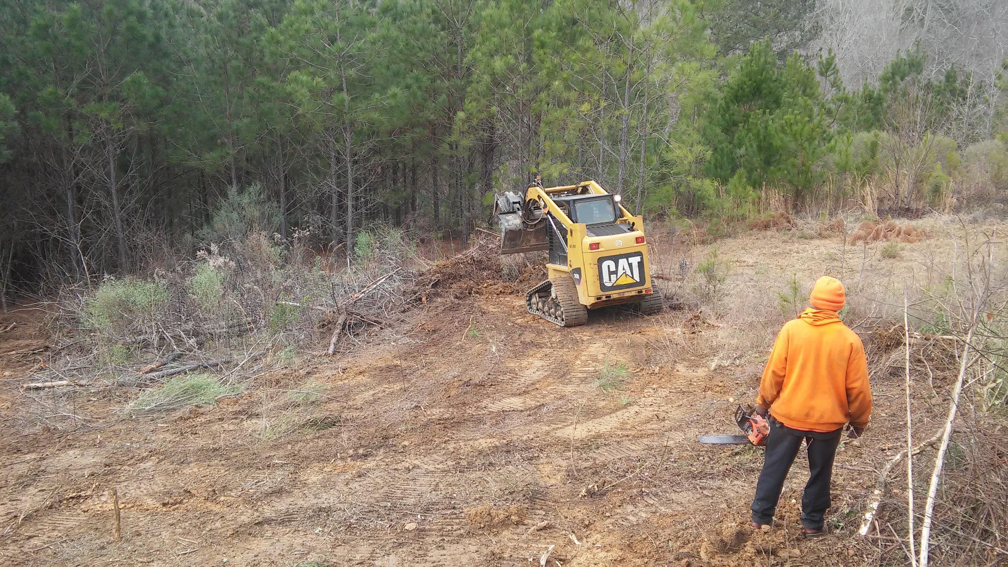 Cornerstone Tree Service, LLC — photo 1