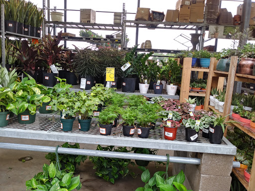 Home Improvement Store «The Home Depot», reviews and photos, 373 E Fm 1382, Cedar Hill, TX 75104, USA