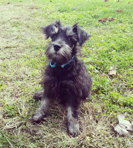 Animal Hospital «Lifetime Pet Center- Williamsburg», reviews and photos, 3070 Old State Rte 32, Batavia, OH 45103, USA