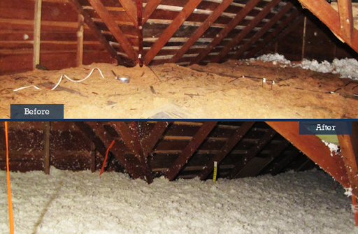 Insulation Contractor «Clean Crawls - Insulation Install & Removal Marysville», reviews and photos