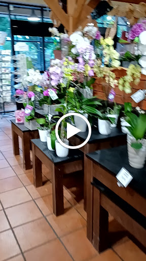 Supermarket «The Fresh Market», reviews and photos, 5515 Chamblee Dunwoody Rd, Dunwoody, GA 30338, USA