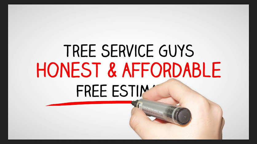 Tree Removal Fort Worth