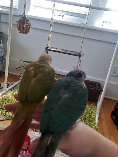 Pet Supply Store «Petco Animal Supplies», reviews and photos, 525 S 5th St, Bismarck, ND 58504, USA