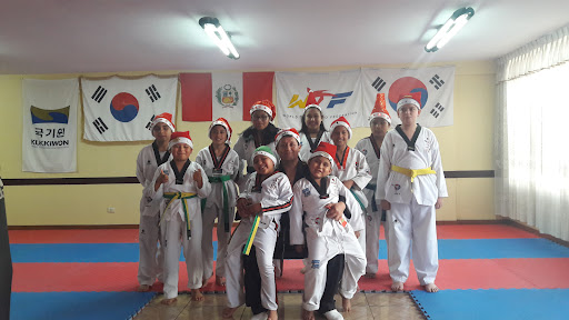 Academia de Taekwondo Piramide