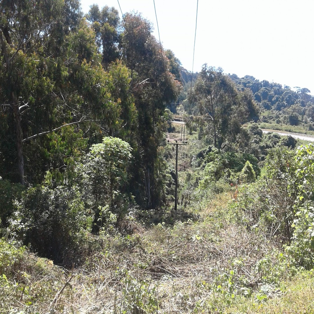 Highest Point of all Trank roads in Tanzania