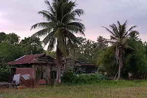 Homestay sofea di tepi sawah image