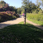 Photo n° 2 de l'avis de Vincent.o fait le 29/10/2021 à 16:59 pour Plage de la Forêt à Saint-Germain-en-Laye