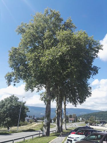 Rasthof-Platanenhof Tankstelle - Biel