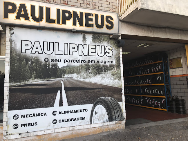 PAULIPNEUS 1