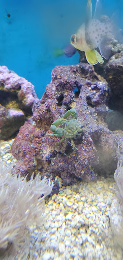 Pet Supply Store «Petco Animal Supplies», reviews and photos, 200 Center Blvd S, Christiana, DE 19702, USA