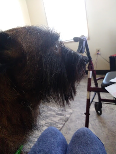 Pet Supply Store «Petco Animal Supplies», reviews and photos, 1893 W Main St, Troy, OH 45373, USA