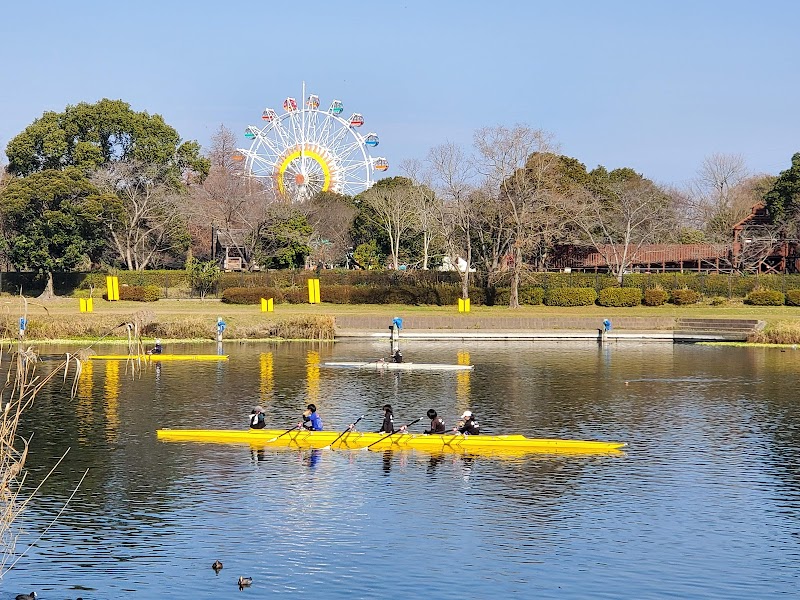 水前寺江津湖公園（上江津地区）