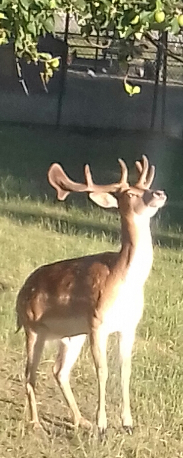 Photo n° 1 de l'avis de J-Marc.U fait le 09/07/2019 à 18:40