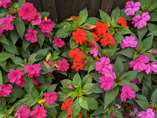 Childrens Farm «Best Long Island Pumpkin Picking», reviews and photos, 250 Old Country Rd, Melville, NY 11747, USA