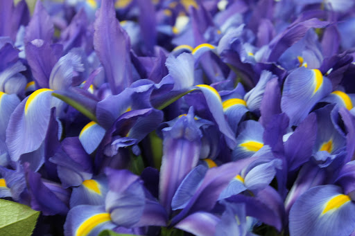 Florist «Mums the Word Floral Shoppe», reviews and photos, 129 Merchants Way, Marlton, NJ 08053, USA