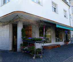 Gärtnerei Schmidt photo