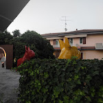 Photo n°10 de l'avis de Daniele.b fait le 14/08/2021 à 20:42 sur le  3sessanta Coffee, Food & Drinks à Peschiera del Garda