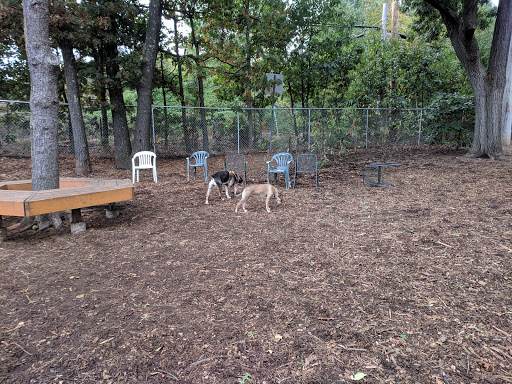 Dog Park «Maynard Dog Park», reviews and photos, 128 Waltham St, Maynard, MA 01754, USA