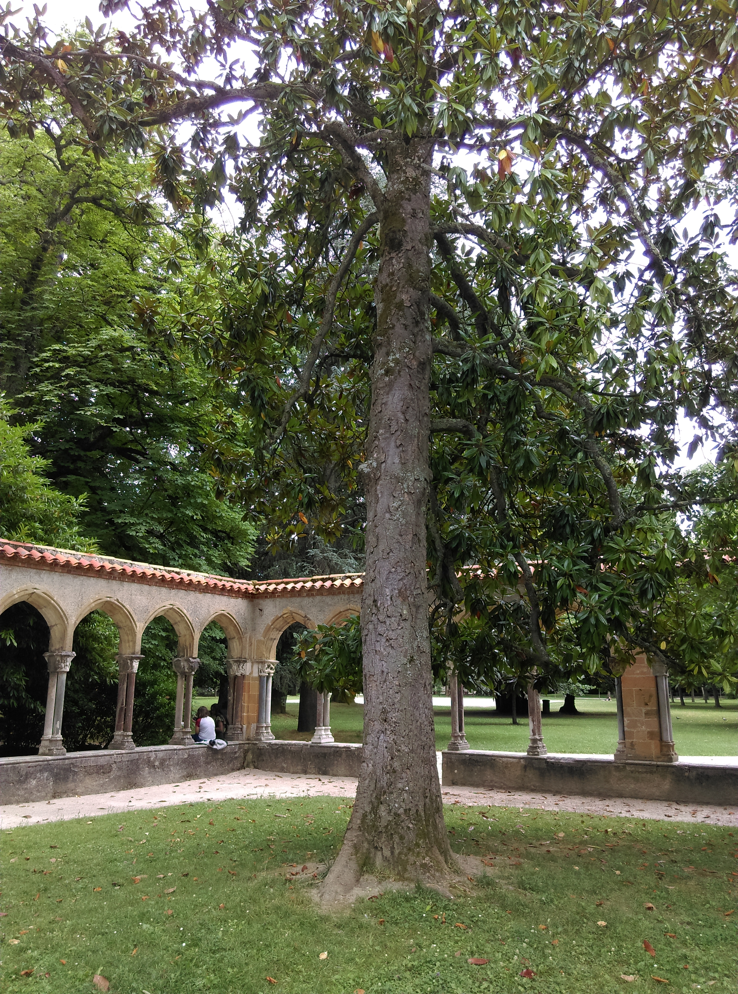 Photo n° 6 de l'avis de Sandra.a fait le 14/07/2018 à 12:13