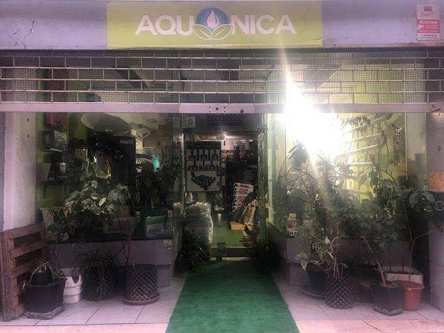 Aquonica Hydro Store - Jardinagem