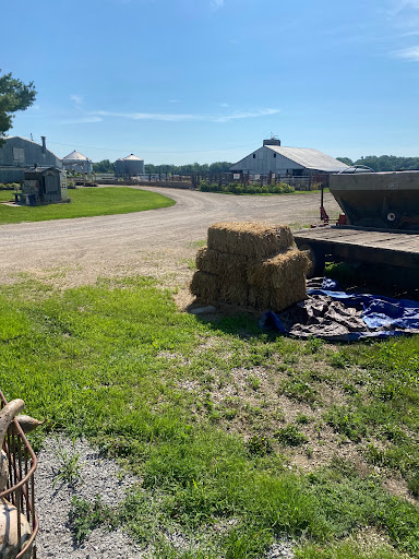 Produce Market «Kroul Farms», reviews and photos, 245 IA-1, Mt Vernon, IA 52314, USA