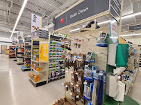 PetSmart - Photo 9 - Car repair in Nanuet, NY, Yonkers