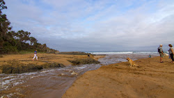 Φωτογραφία του Rosedale Beach και η εγκατάσταση