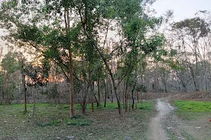 Kumarganj Forest Picnic Spot image