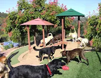 Canyon View Ranch - Car repair in Topanga, CA, Simi Valley - Rated 4.1/5