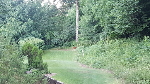 Golf Driving Range «Miner Hills Golf Course & Driving Range», reviews and photos, 80 Miner Hills Dr, Middletown, CT 06457, USA