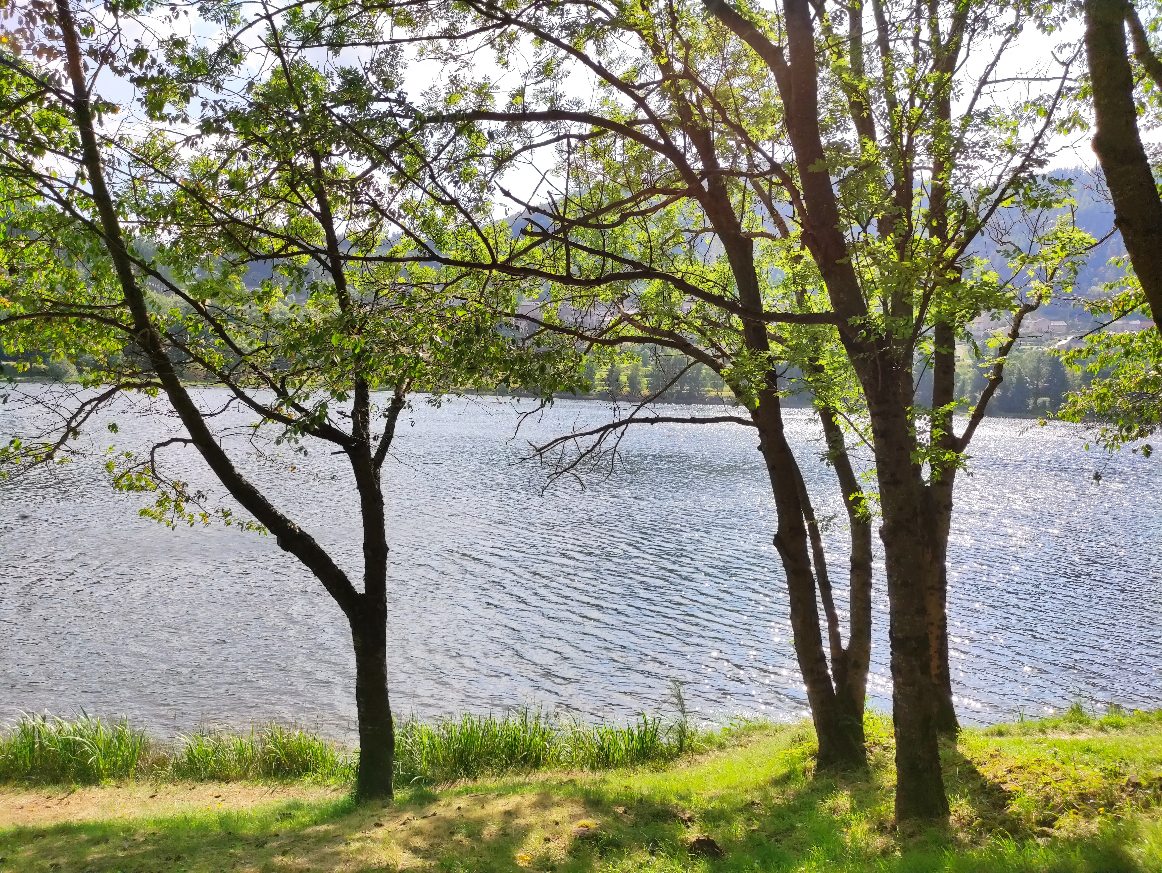 Photo n° 2 de l'avis de Marie.e fait le 18/07/2021 à 15:51