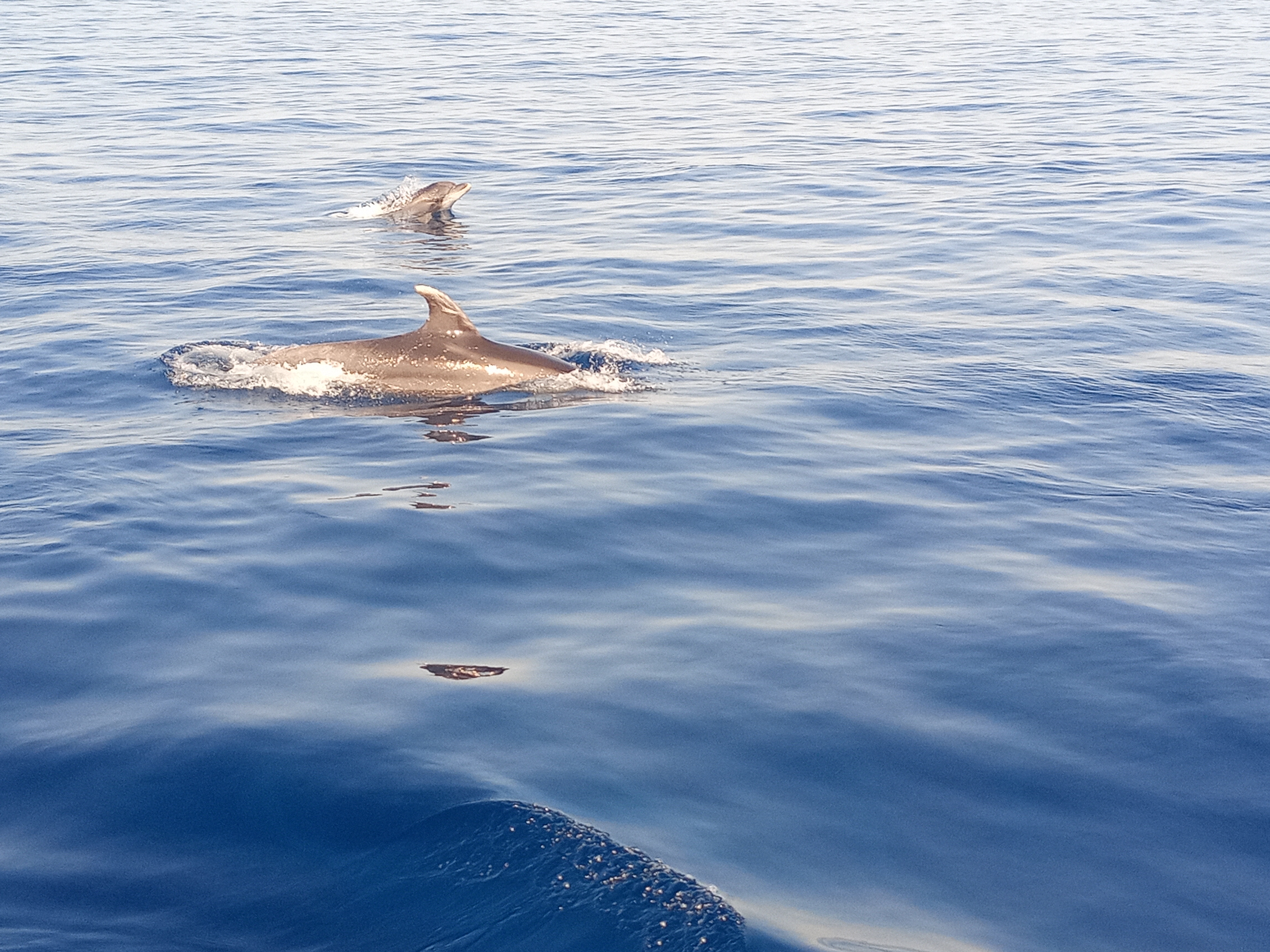 Photo n° 1 de l'avis de Audrey.o fait le 26/08/2021 à 14:24
