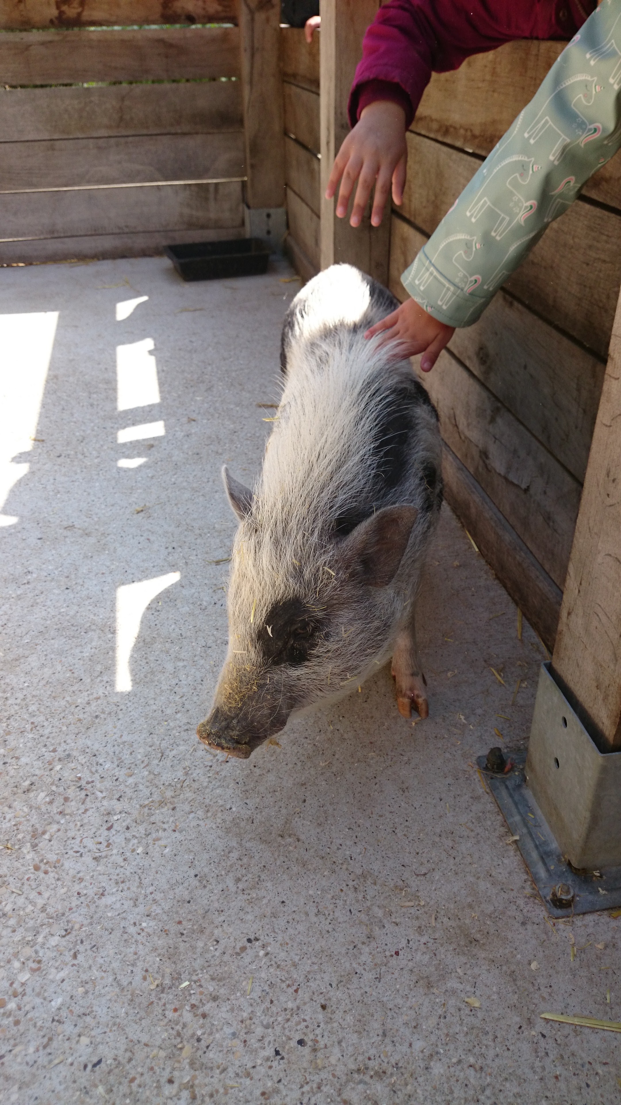 Photo n° 6 de l'avis de Fernando.i fait le 17/05/2018 à 10:13