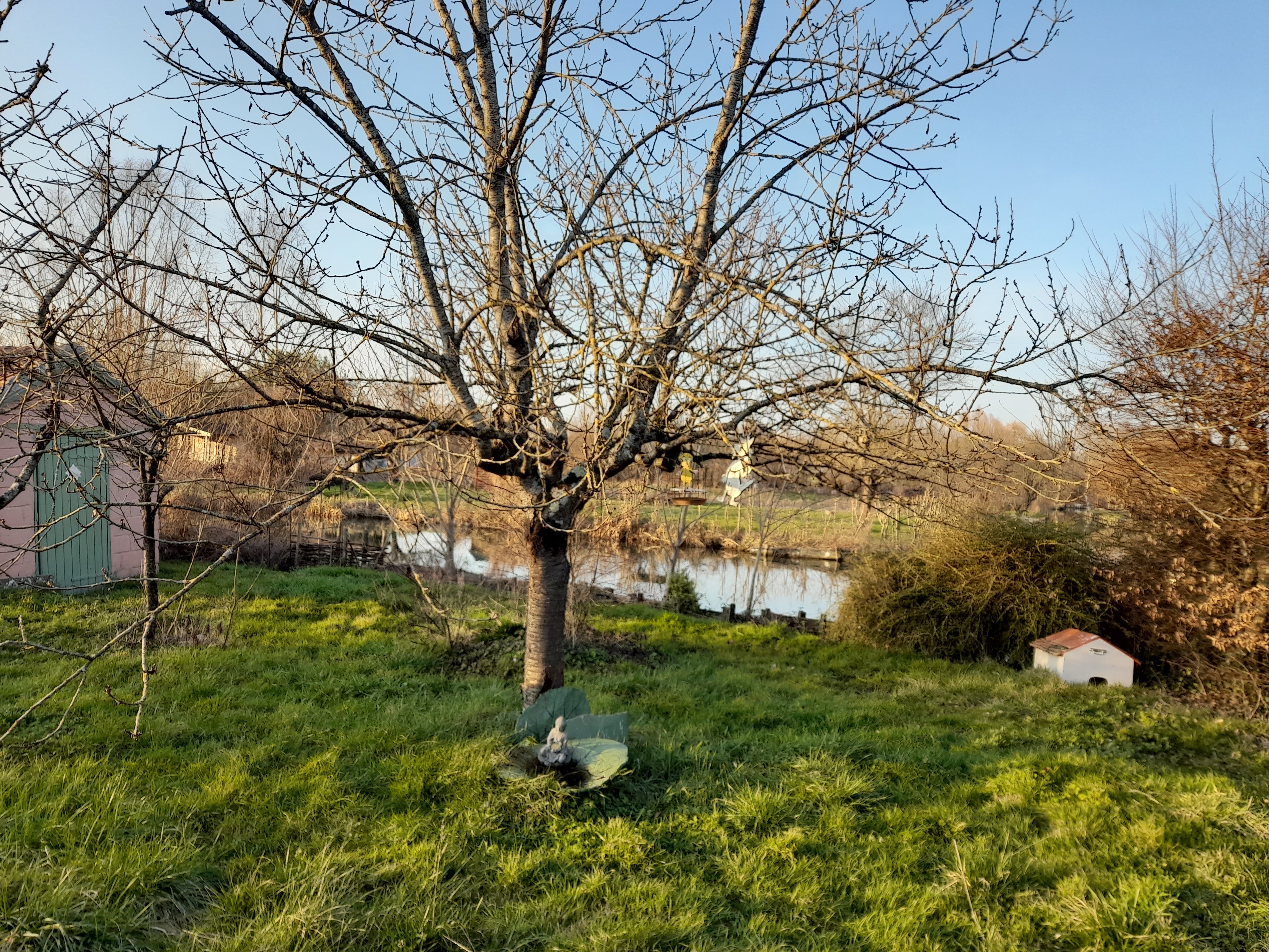Photo n° 42 de l'avis de gilles.a fait le 11/02/2023 à 23:07