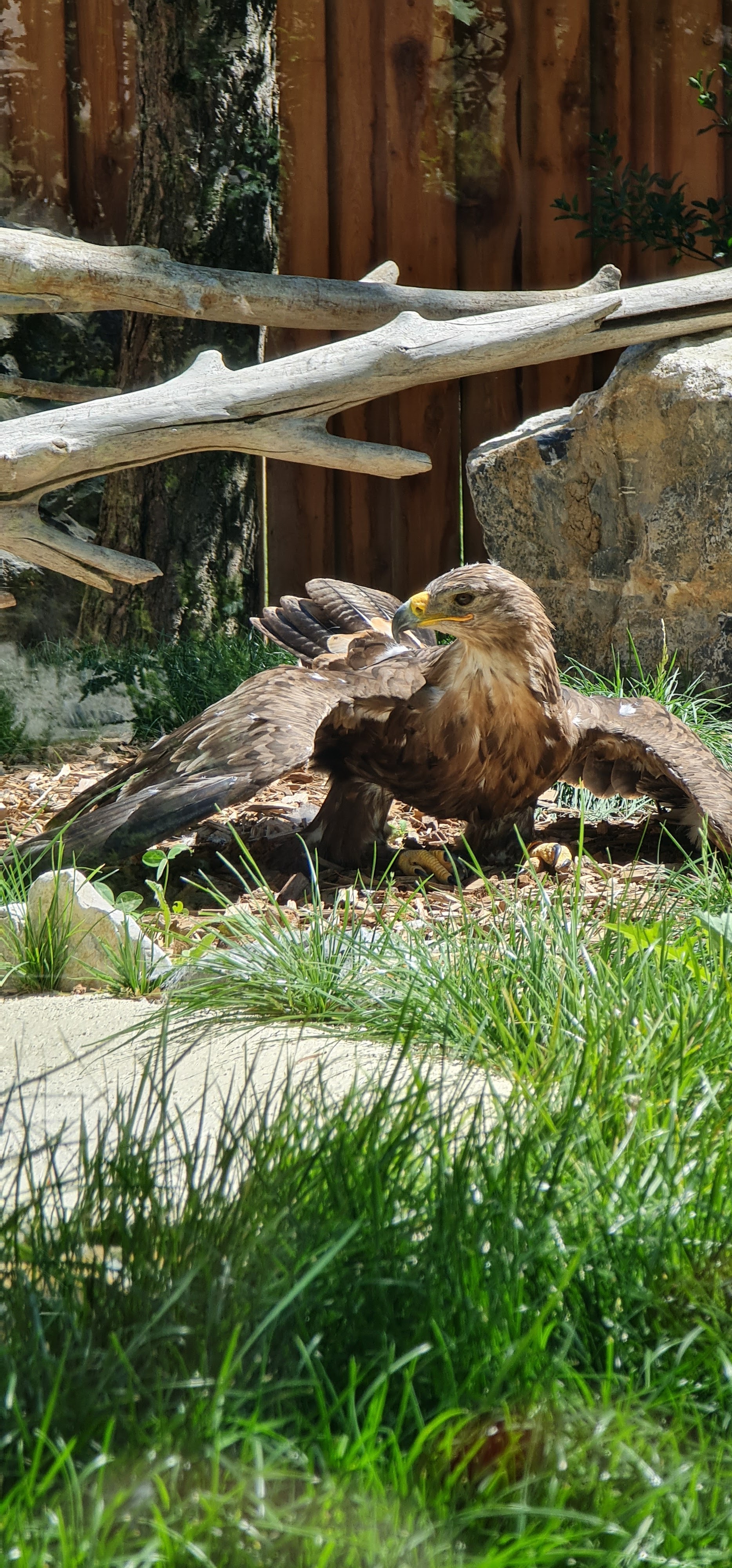 Photo n° 11 de l'avis de Julie.a fait le 03/08/2019 à 12:47