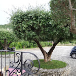 Photo n°5 de l'avis de marco.i fait le 14/06/2019 à 18:40 sur le  Ristorante Pizzeria El Gaucho à Montegrotto Terme