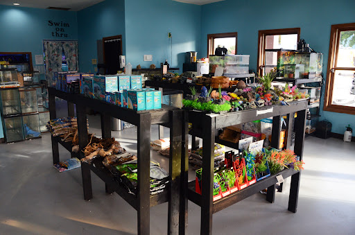 Fish and Friends Pets