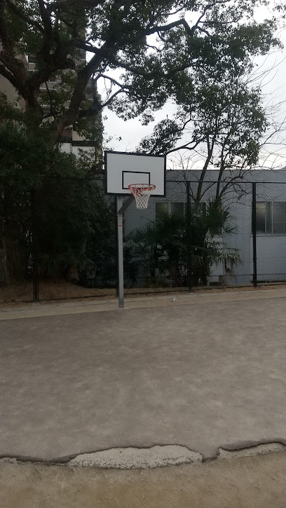 錦町公園 バスケットゴール