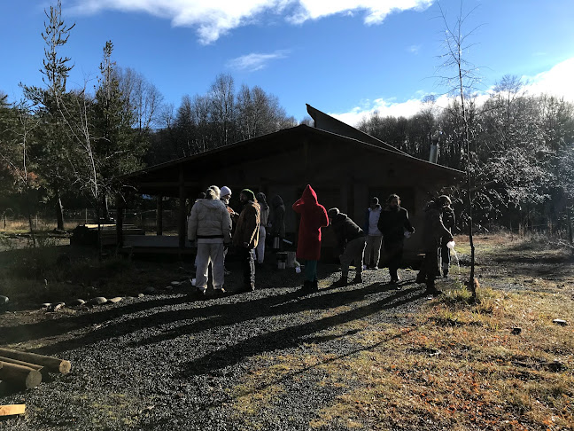 N-55, Casa de Lata, Pinto, Región del Bío Bío, Chile